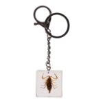 Real Golden Scorpion in Acrylic Cube Keychain