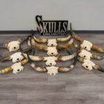 Real Longhorn Skull Plate – Limited Quantity
