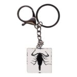 Real Black Scorpion in Acrylic Cube Keychain