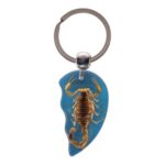 Real Scorpion Friendship Keychain in Acrylic – Single