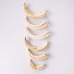 Real Bag-O-Warthog Tusks