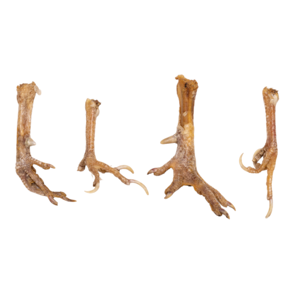 Real Chicken Foot – Single
