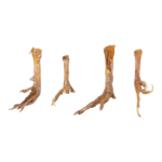 Real Chicken Foot – Single