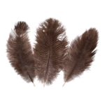 Real Ostrich Feather – Single