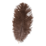 Real Ostrich Feather – Single