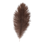 Real Ostrich Feather – Single