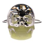 Real Black Scorpion in Acrylic Skull Keychain – Glow