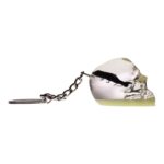 Real Black Scorpion in Acrylic Skull Keychain – Glow