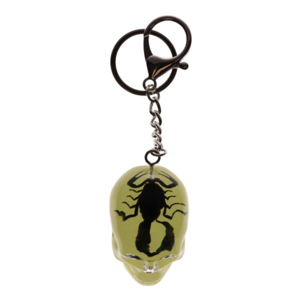 Real Black Scorpion in Acrylic Skull Keychain – Glow