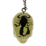 Real Black Scorpion in Acrylic Skull Keychain – Glow