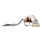 Real Spider in Acrylic Skull Keychain – Glow