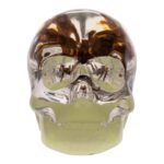 Real Spider in Acrylic Skull Keychain – Glow