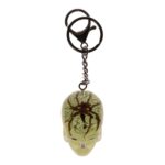 Real Spider in Acrylic Skull Keychain – Glow