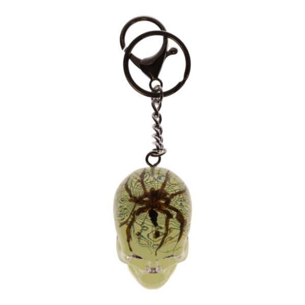 Real Spider in Acrylic Skull Keychain – Glow