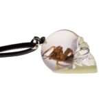 Real Spider in Acrylic Skull Necklace – Glow