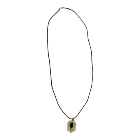 Real Black Scorpion in Acrylic Skull Necklace - Glow