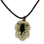 Real Black Scorpion in Acrylic Skull Necklace – Glow