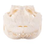 Real American Alligator Skull – 6 to 9 in.