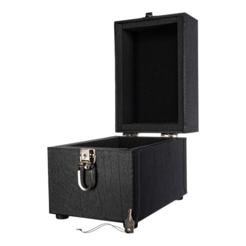 Human Skull Carrying Case