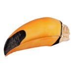 Replica Toco Toucan Skull