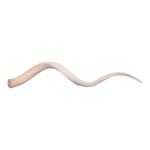 Real Kudu Horn Core – Single