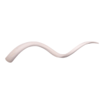 Real Kudu Horn Core – Single