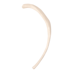Replica Human Rib – Single