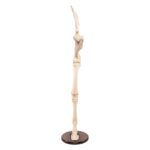 Replica Horse Forelimb