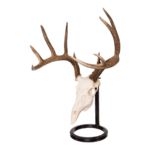 Metal Skull Mount – The Table Bracket Skull Mount