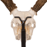 Metal Skull Mount – The Table Bracket Skull Mount