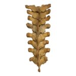 Real Human Thoracic Vertebrae – Set of 8