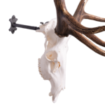 Metal Skull Mount – The ‘Bull’ Bracket