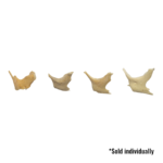 Real Human Child Zygomatic Bone – Single