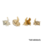 Real Human Child Maxillary Bone – Single