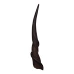Real Eland Horn – Male (Single)