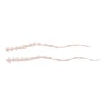 Real Domestic Cat Tail – Disarticulated (Single)