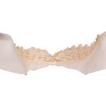 Replica Tiger Shark Jaw