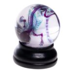 Real Diaphonized Mouse Skeleton – Globe