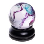 Real Diaphonized Mouse Skeleton – Globe