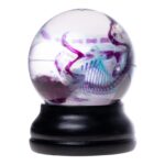 Real Diaphonized Mouse Skeleton – Globe