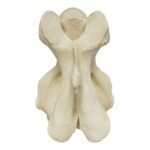Replica Giraffe Vertebrae