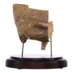Real Human Partial Skull on Stand – 232 g