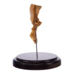 Real Human Partial Skull on Stand – 160 g