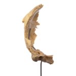 Real Human Partial Skull on Stand – 96 g