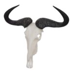 SKULLIES – Miniature Blue Wildebeest Skull