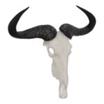 SKULLIES – Miniature Blue Wildebeest Skull