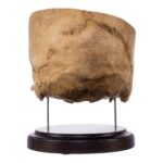 Real Human Partial Skull on Stand – 290 g