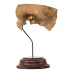 Real Human Partial Skull on Stand – 58 g