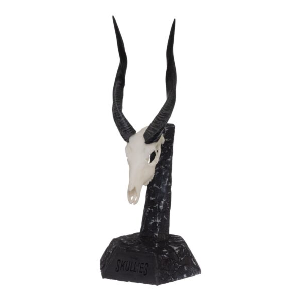 SKULLIES – Miniature Bushbuck Skull