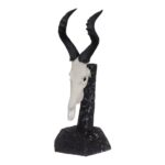 SKULLIES – Miniature Red Hartebeest Skull